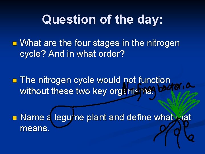 Question of the day: n What are the four stages in the nitrogen cycle?