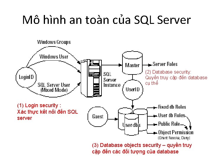 Mô hình an toàn của SQL Server (2) Database security: Quyền truy cập đến