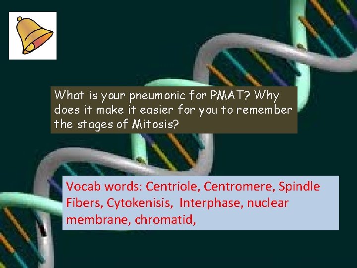 What is your pneumonic for PMAT? Why does it make it easier for you