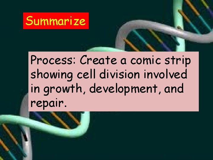 Summarize Process: Create a comic strip showing cell division involved in growth, development, and