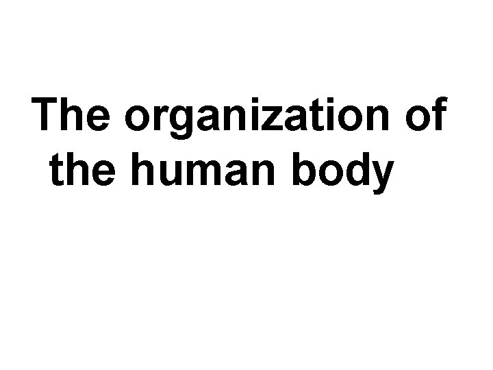 The organization of the human body 
