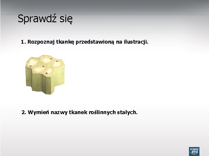 Sprawdź się 1. Rozpoznaj tkankę przedstawioną na ilustracji. 2. Wymień nazwy tkanek roślinnych stałych.