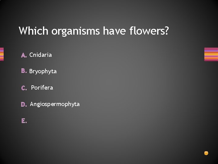 Which organisms have flowers? A. Cnidaria B. Bryophyta C. Porifera D. Angiospermophyta E. 