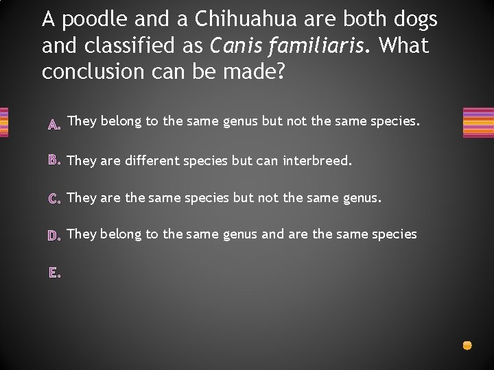 A poodle and a Chihuahua are both dogs and classified as Canis familiaris. What