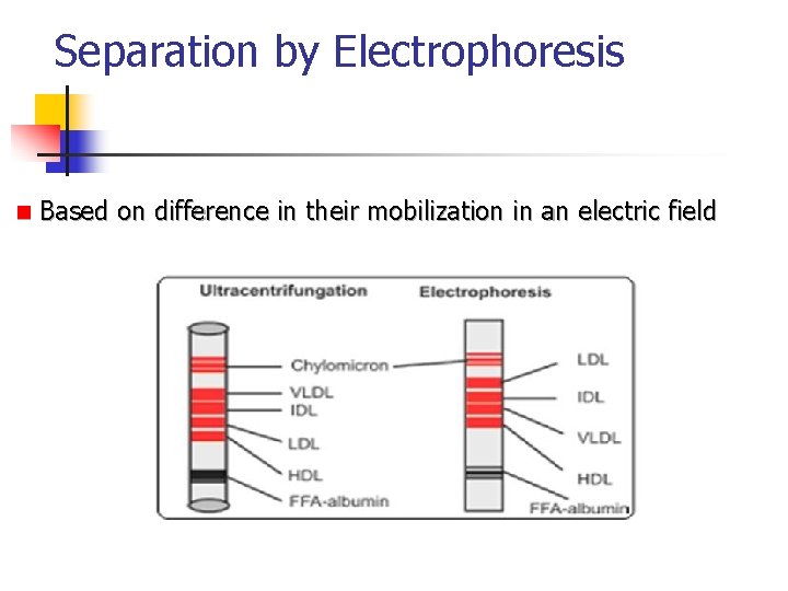 Separation by Electrophoresis n Based on difference in their mobilization in an electric field