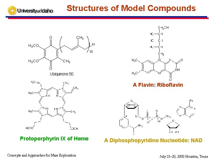 Describing and Measuring Chemical Signatures of Life Research