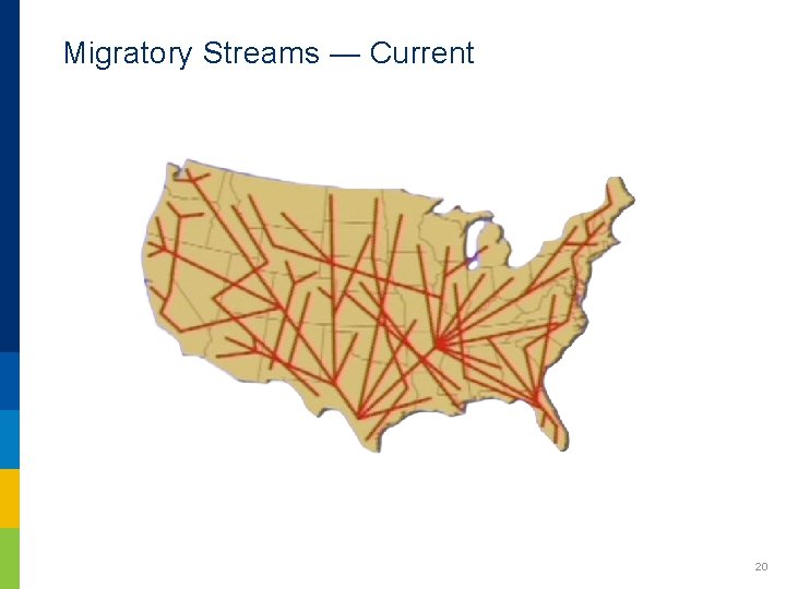 Migratory Streams — Current 20 