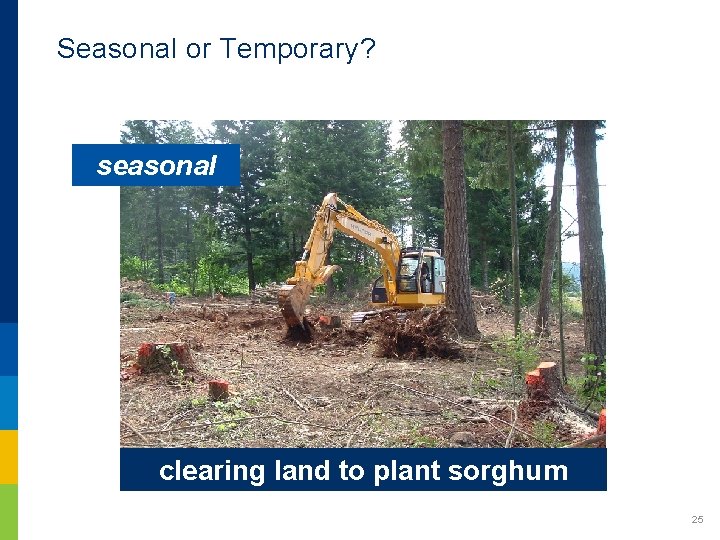 Seasonal or Temporary? seasonal clearing land to plant sorghum 25 