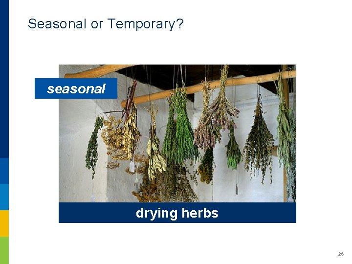 Seasonal or Temporary? seasonal drying herbs 26 