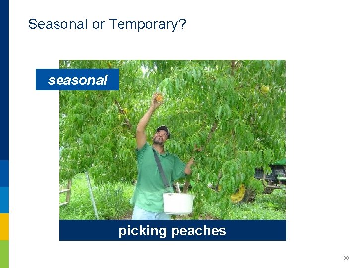 Seasonal or Temporary? seasonal picking peaches 30 