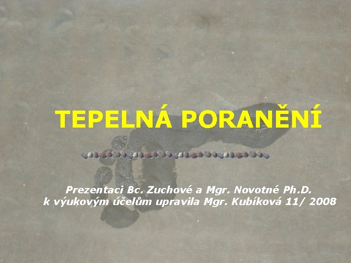 TEPELNÁ PORANĚNÍ Prezentaci Bc. Zuchové a Mgr. Novotné Ph. D. k výukovým účelům upravila