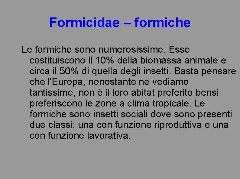 Formicidae – formiche Le formiche sono numerosissime. Esse costituiscono il 10% della biomassa animale