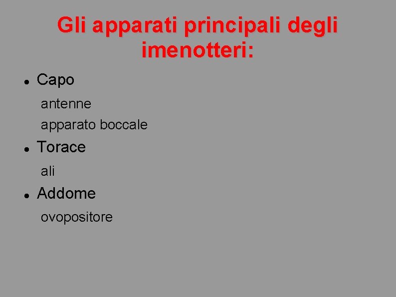 Gli apparati principali degli imenotteri: Capo antenne apparato boccale Torace ali Addome ovopositore 