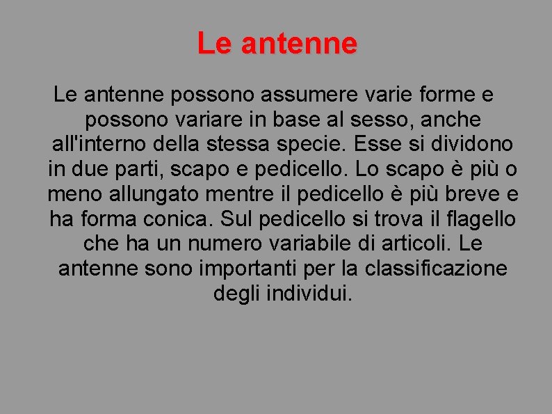 Le antenne possono assumere varie forme e possono variare in base al sesso, anche