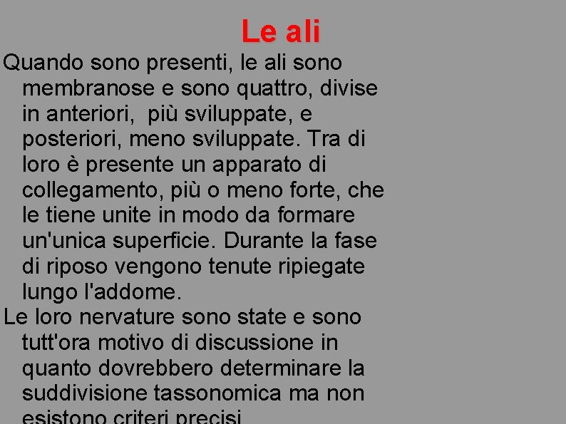 Le ali Quando sono presenti, le ali sono membranose e sono quattro, divise in