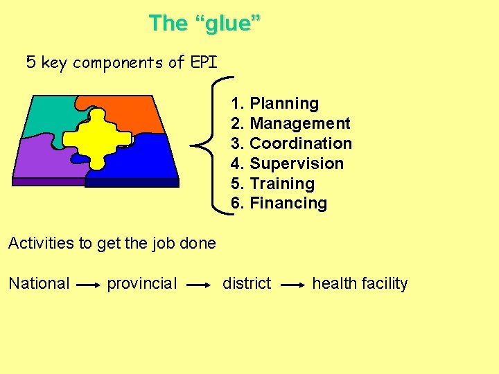 The “glue” 5 key components of EPI 1. Planning 2. Management 3. Coordination 4.