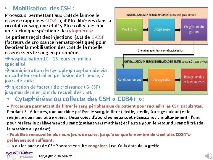  • Mobilisation des CSH : Processus permettant aux CSH de la moelle osseuse