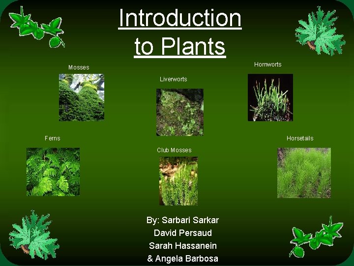 Introduction to Plants Hornworts Mosses Liverworts Ferns Horsetails Club Mosses By: Sarbari Sarkar David