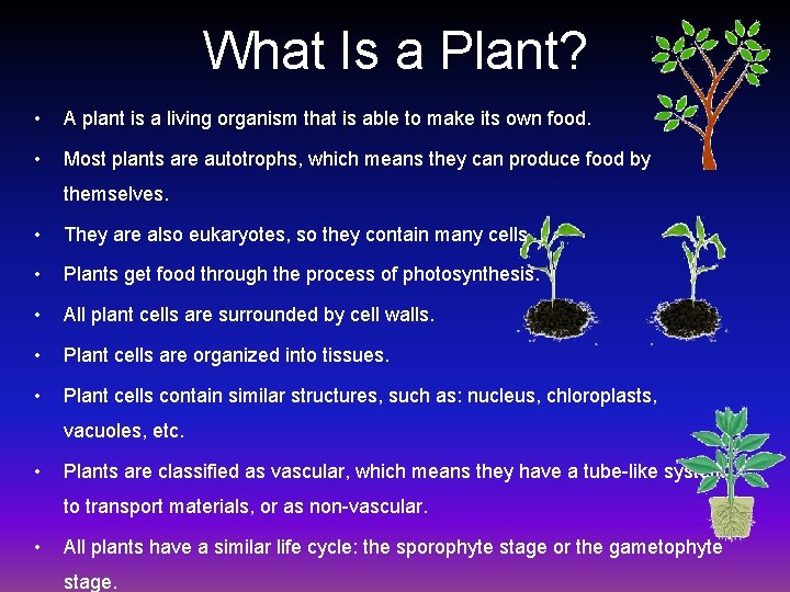 What Is a Plant? • A plant is a living organism that is able