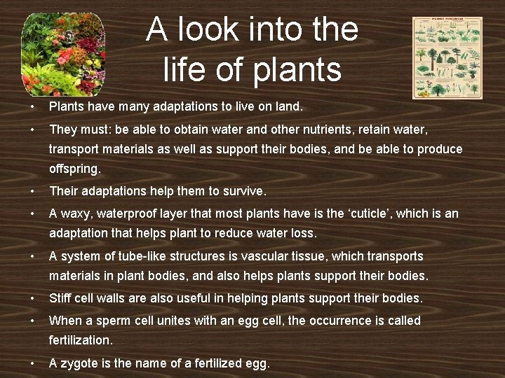 A look into the life of plants • Plants have many adaptations to live