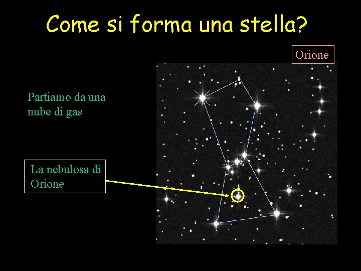 Come si forma una stella? Orione Partiamo da una nube di gas La nebulosa