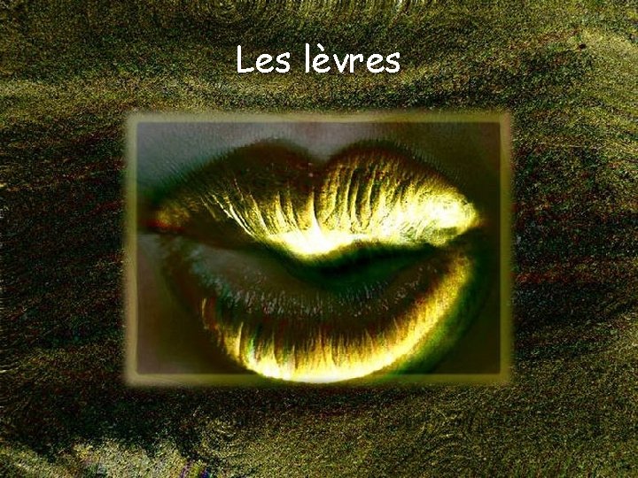 Les lèvres 