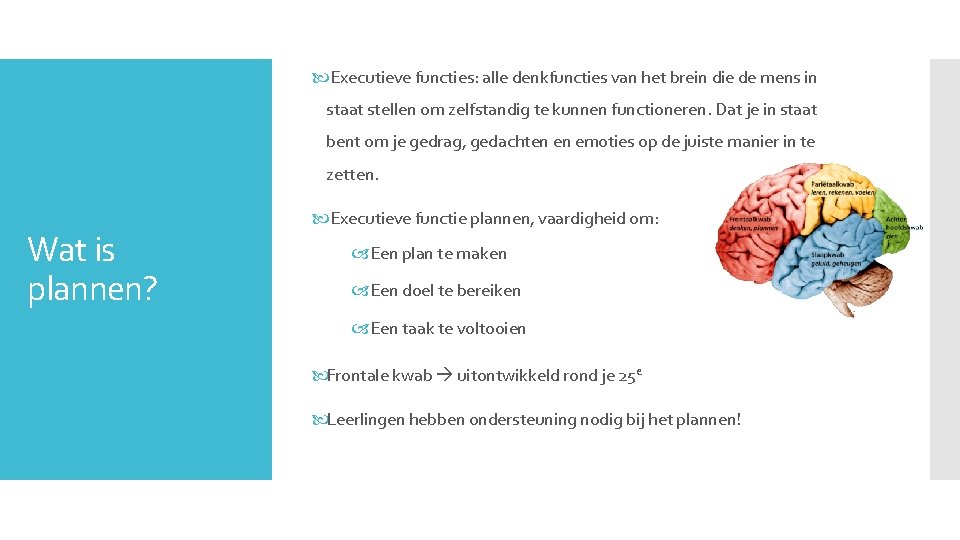  Executieve functies: alle denkfuncties van het brein die de mens in staat stellen