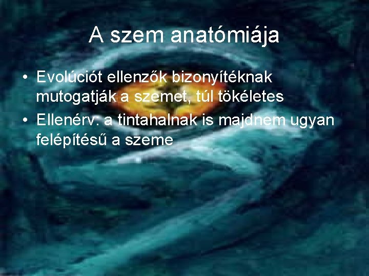 A szem anatómiája • Evolúciót ellenzők bizonyítéknak mutogatják a szemet, túl tökéletes • Ellenérv: