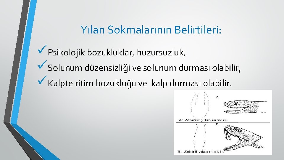 Yılan Sokmalarının Belirtileri: üPsikolojik bozukluklar, huzursuzluk, üSolunum düzensizliği ve solunum durması olabilir, üKalpte ritim