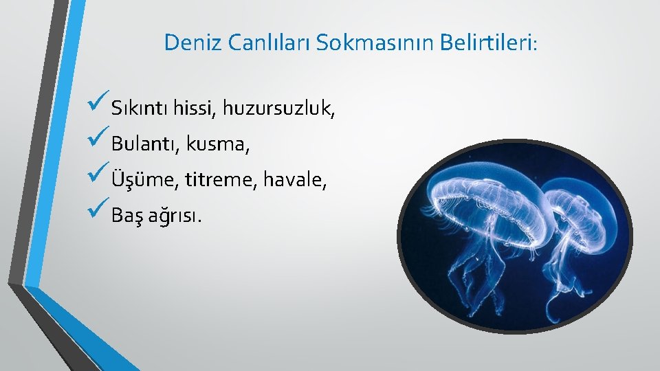 Deniz Canlıları Sokmasının Belirtileri: üSıkıntı hissi, huzursuzluk, üBulantı, kusma, üÜşüme, titreme, havale, üBaş ağrısı.