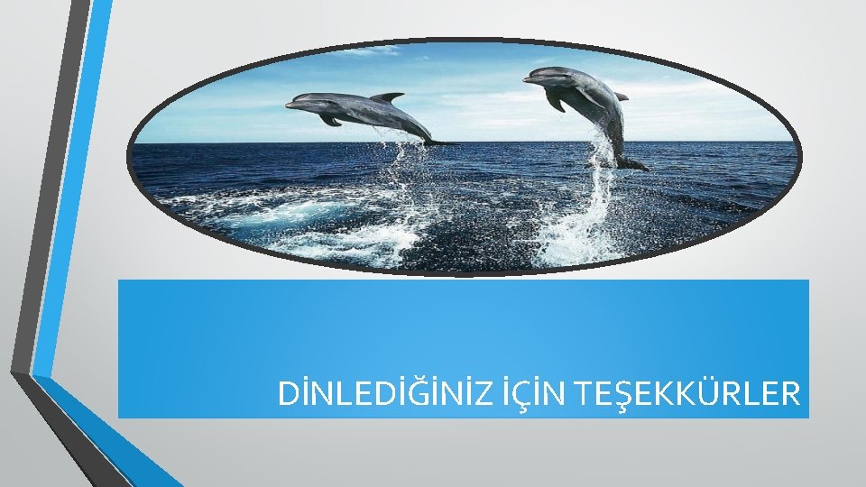 DİNLEDİĞİNİZ İÇİN TEŞEKKÜRLER 