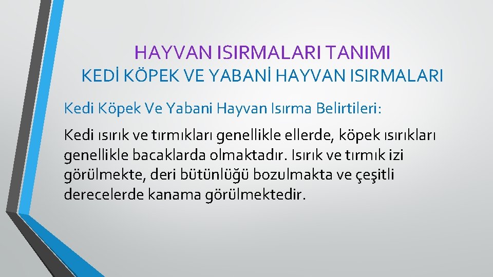 HAYVAN ISIRMALARI TANIMI KEDİ KÖPEK VE YABANİ HAYVAN ISIRMALARI Kedi Köpek Ve Yabani Hayvan