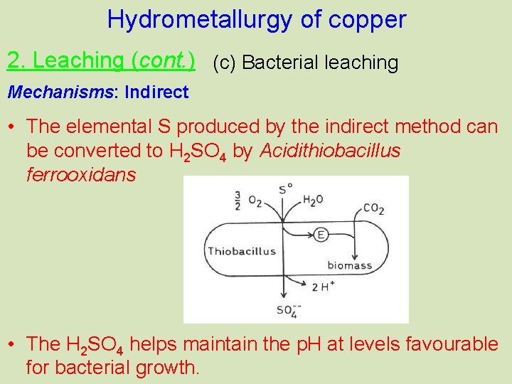 Hydrometallurgy of copper 2. Leaching (cont. ) (c) Bacterial leaching Mechanisms: Indirect • The