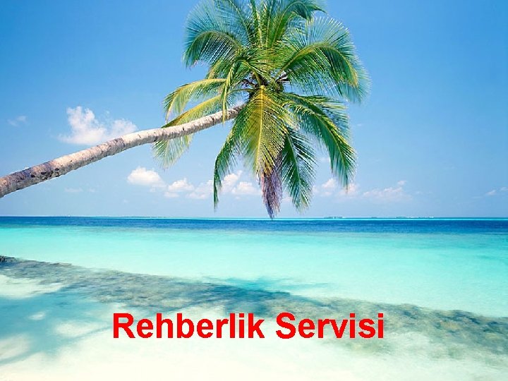 Rehberlik Servisi 