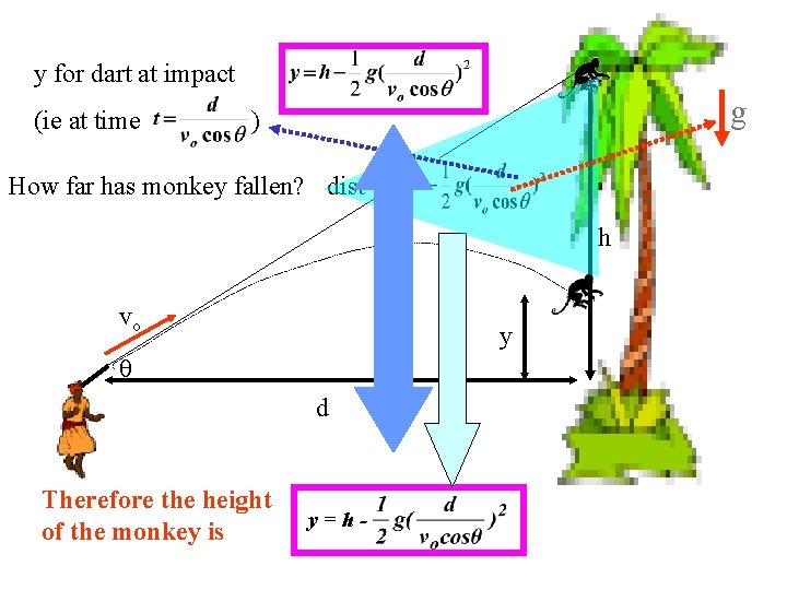 y for dart at impact (ie at time g ) How far has monkey