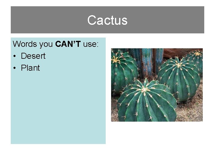 Cactus Words you CAN’T use: • Desert • Plant 