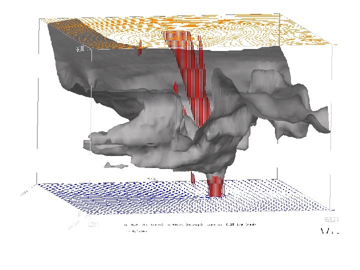 Iso-surfaces of cloud water (qc = 0. 3 g kg-1, gray) and vertical vorticity