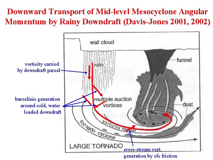 Downward Transport of Mid-level Mesocyclone Angular Momentum by Rainy Downdraft (Davis-Jones 2001, 2002) vorticity