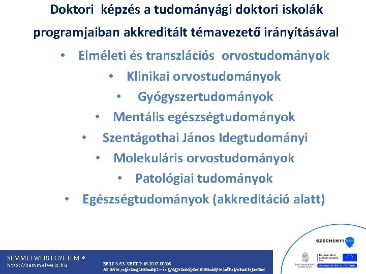 Doktori képzés a tudományági doktori iskolák programjaiban akkreditált témavezető irányításával • Elméleti és transzlációs