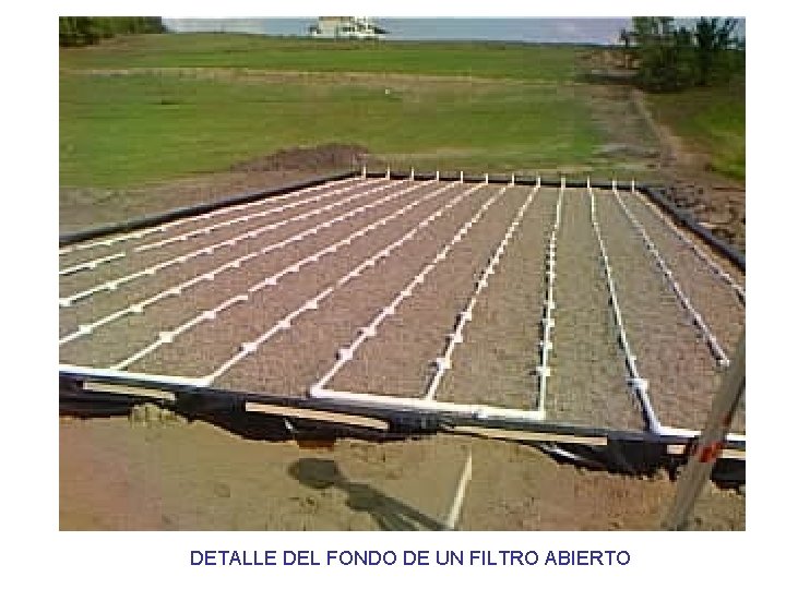 DETALLE DEL FONDO DE UN FILTRO ABIERTO 