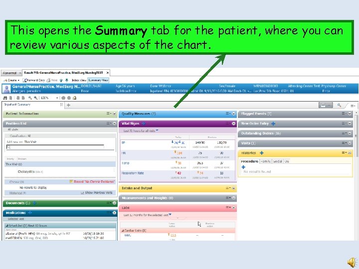 This opens the Summary tab for the patient, where you can review various aspects