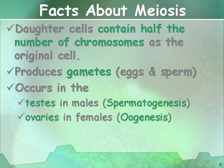 Facts About Meiosis üDaughter cells contain half the number of chromosomes as the original