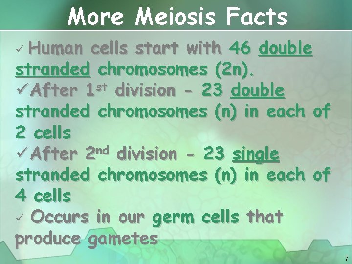 More Meiosis Facts ü Human cells start with 46 double stranded chromosomes (2 n).