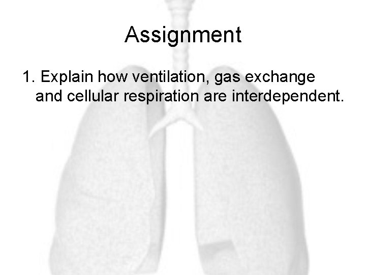 Assignment 1. Explain how ventilation, gas exchange and cellular respiration are interdependent. 