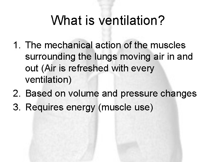 What is ventilation? 1. The mechanical action of the muscles surrounding the lungs moving
