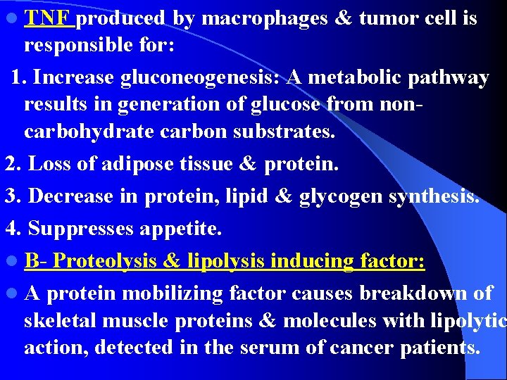 l TNF produced by macrophages & tumor cell is responsible for: 1. Increase gluconeogenesis: