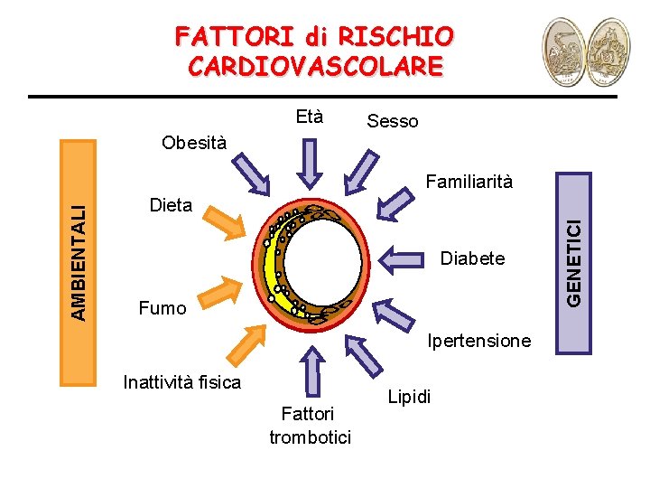 FATTORI di RISCHIO CARDIOVASCOLARE Età Obesità Sesso Dieta Diabete Fumo Ipertensione Inattività fisica Fattori