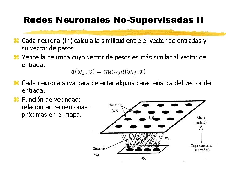 Redes Neuronales No-Supervisadas II z Cada neurona (i, j) calcula la similitud entre el