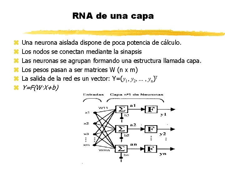 RNA de una capa z z z Una neurona aislada dispone de poca potencia