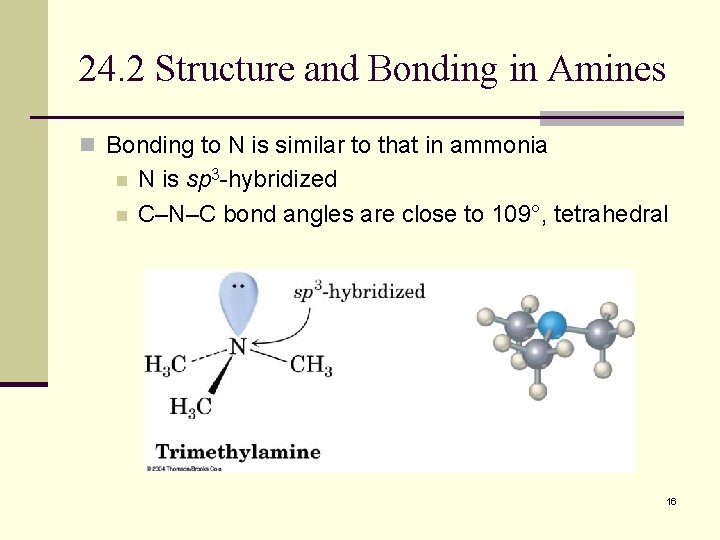 24. 2 Structure and Bonding in Amines n Bonding to N is similar to